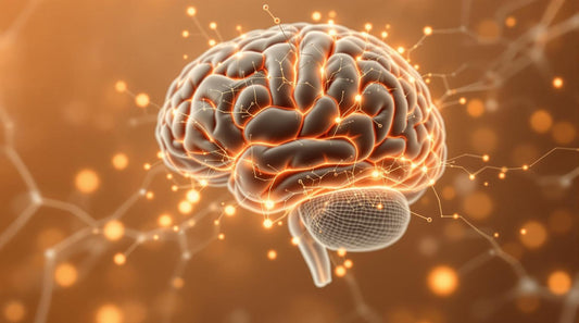 Bifidobacterium Breve and Cognitive Function: What Studies Show