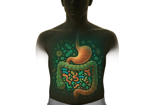 How Air Pollution Affects Gut Microbiome