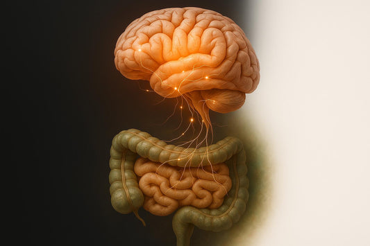 Psychobiotics and Sleep-Wake Cycles: Key Mechanisms