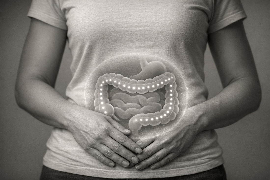 How Probiotics Reduce Gut Inflammation