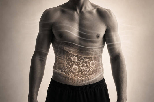 Stress, Immune Health, and Microbiome: 4 Studies