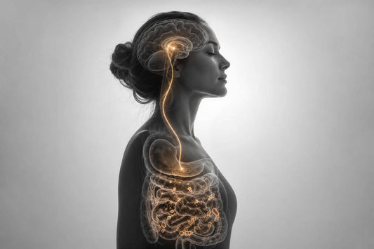 Guide to GABA and Gut Microbe Cross-Talk