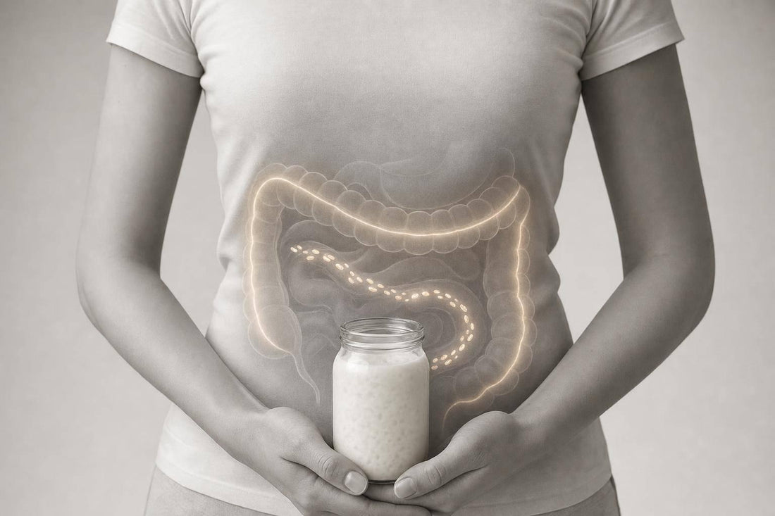 How Biotics Support Mitochondrial Fat Metabolism