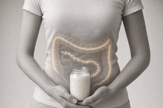 How Biotics Support Mitochondrial Fat Metabolism