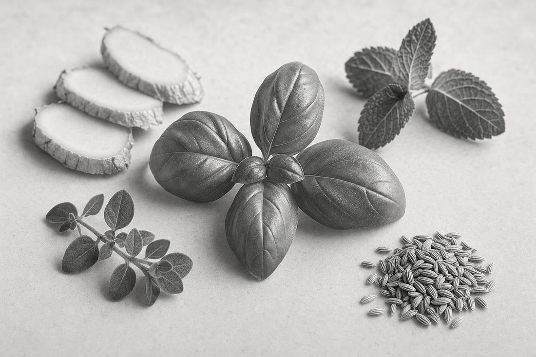 Gut Health Herbs: Where Basil Stands