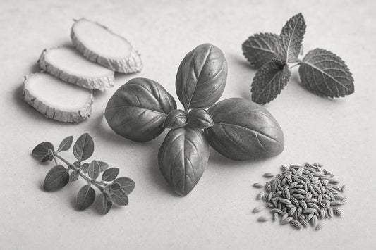 Gut Health Herbs: Where Basil Stands