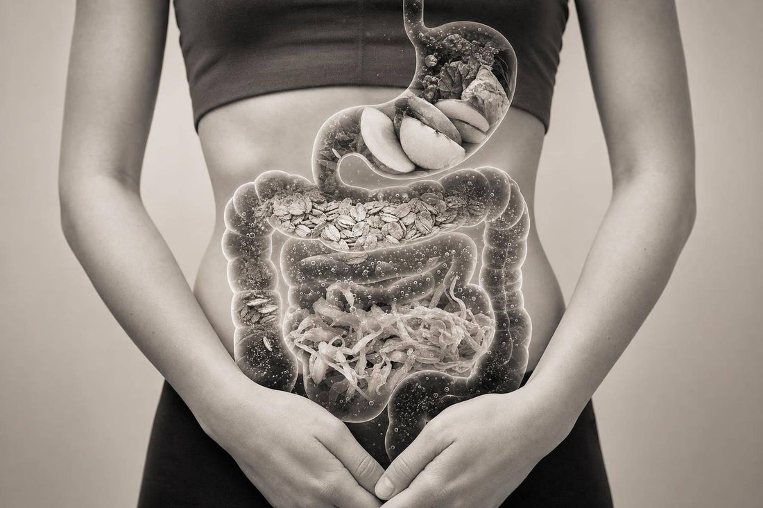 How Gut Microbes Train Immune Tolerance