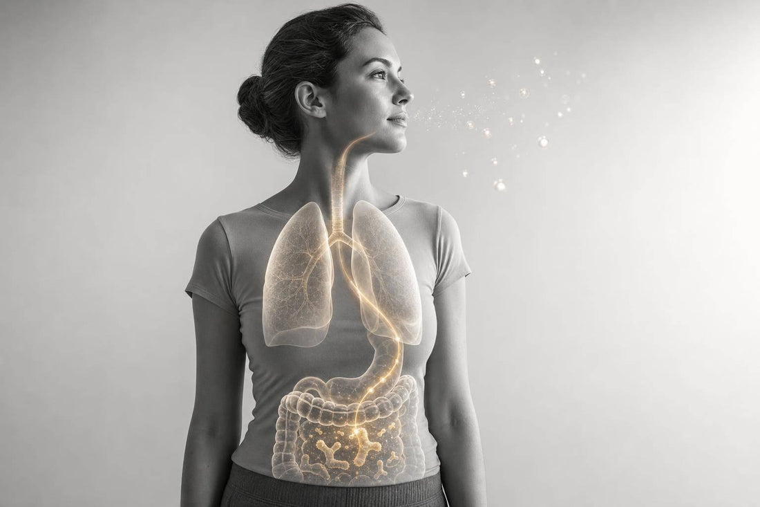 Bifidobacterium longum and Viral Airway Defense