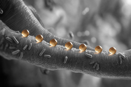7 Microbial Metabolites That Shape Fat Metabolism