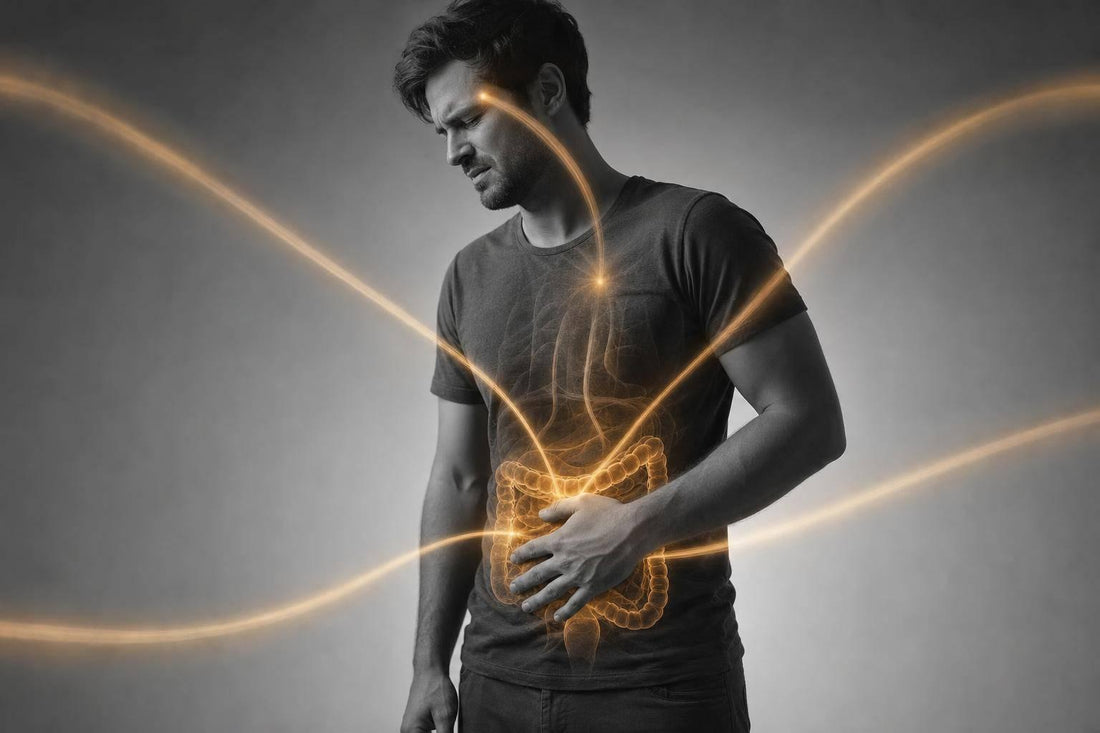 Stress Drives Gut Inflammation: 5 Pathways