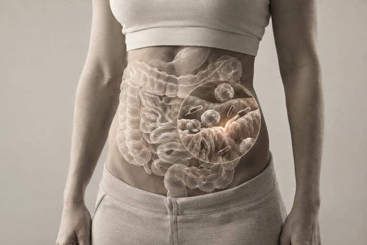 Gut-Immune Axis in Chronic Inflammation